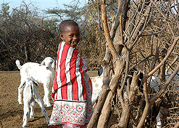 economic-barriers-img02